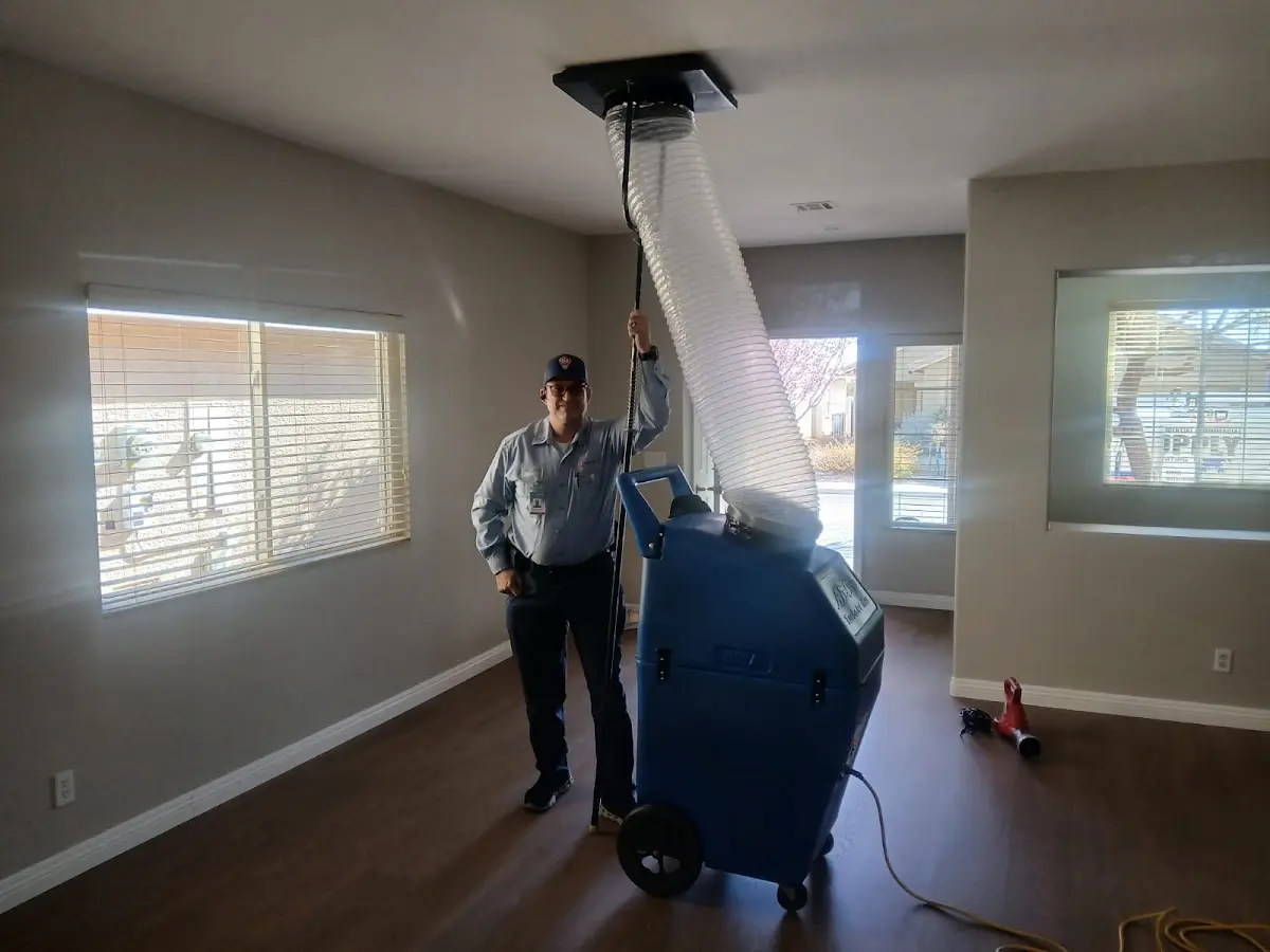 Professional Emergency HVAC Repair work inside a Windsor home
